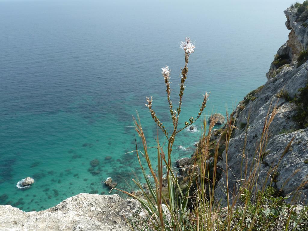 Bed and Breakfast Fiori E Limoni Quartucciu Exterior foto