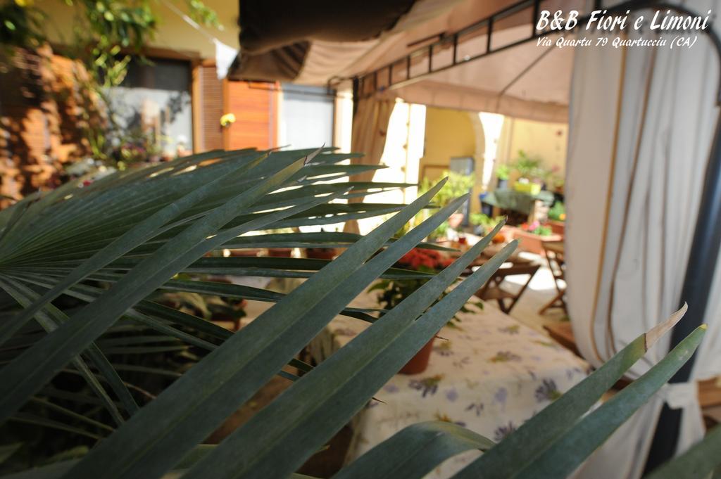 Bed and Breakfast Fiori E Limoni Quartucciu Exterior foto
